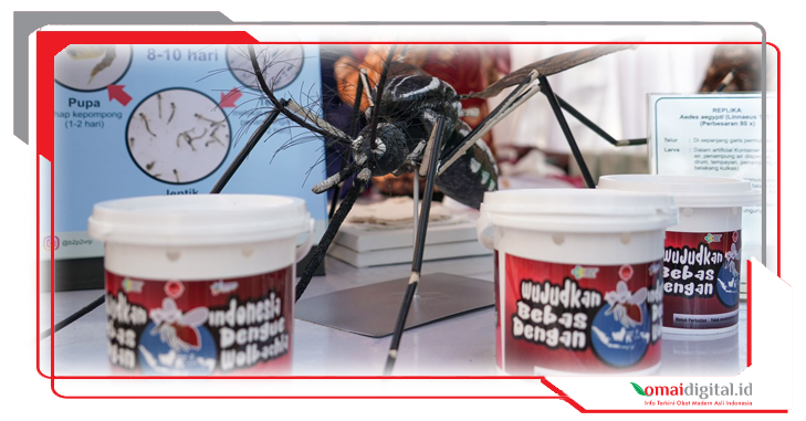 Analisis Risiko Pastikan Penggunaan Bakteri Wolbachia Aman Untuk Jangka Panjang